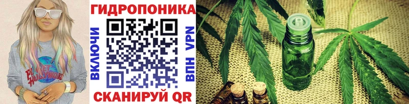 Виды наркотиков купить Снежногорск Гашиш Alpha PVP MDMA АМФ Марихуана Мефедрон