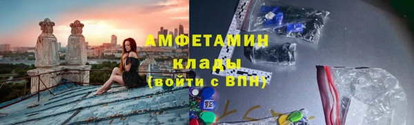 сатива Заволжье