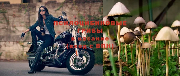 мяу мяу мука Алексин